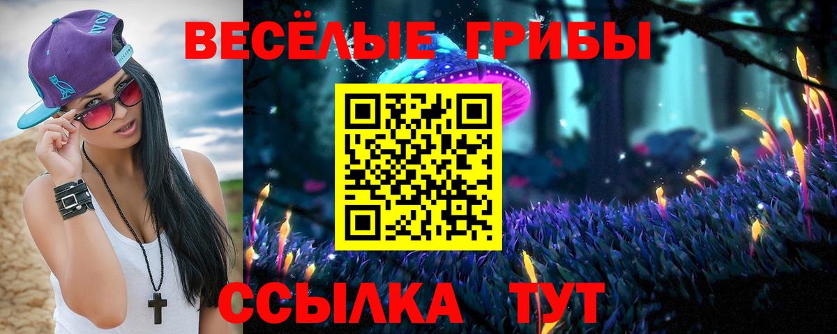 Галлюциногенные грибы GOLDEN TEACHER Череповец