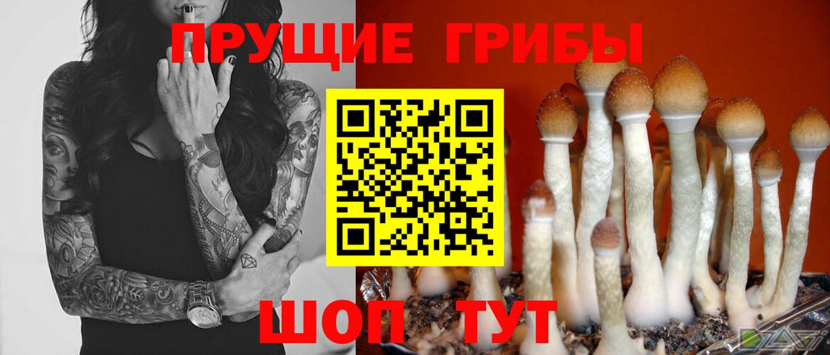 Череповец  Псилоцибиновые грибы ЛСД  Галлюциногенные грибы Magic Shrooms  Вход с VPN 